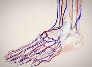 Symptoms of poor blood circulation in the legs + video