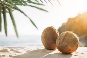 The full properties of coconut, a fruit for health and beauty