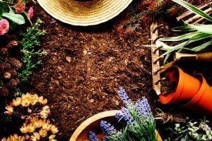What is the main difference between potting soil and garden soil?