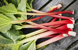 Properties of rhubarb to improve, slim, and beautify the skin