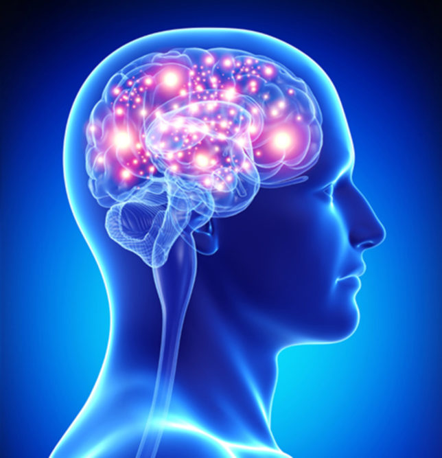 Increase brain function with 7 nutrients