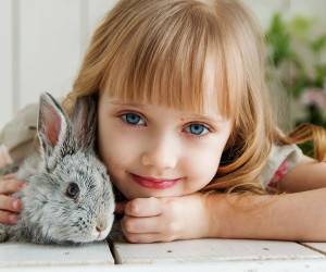 How to keep rabbits at home?