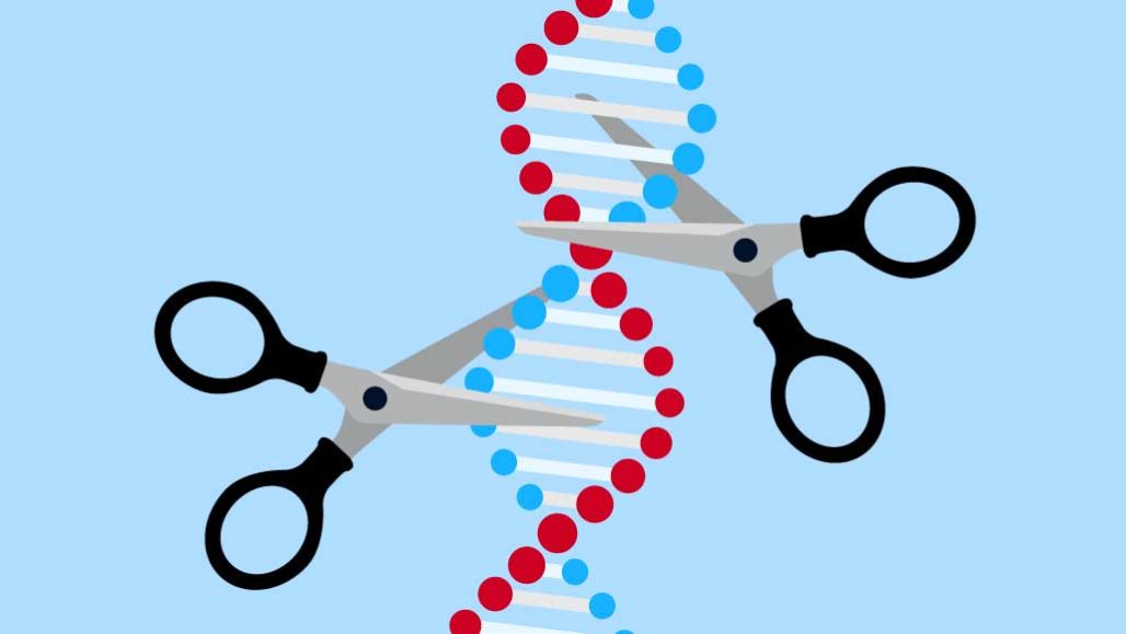 What is a chromosome?