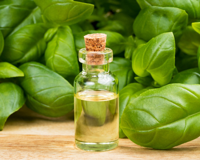 What does basil oil do for your skin?