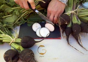 Learn about the amazing properties of black horseradish