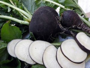 Learn about the amazing properties of black horseradish