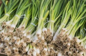 20 unique properties of Spring Onion on the skin and anemia