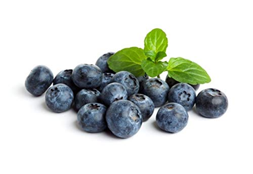 Learn about the benefits of blueberries?