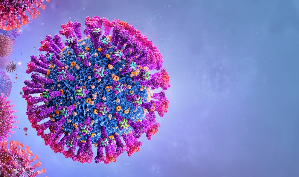 What do we know about the different types of corona delta viruses?