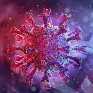 What do we know about the different types of corona delta viruses?