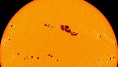 Overnight, the massive sunspot in front of the earth doubled in size