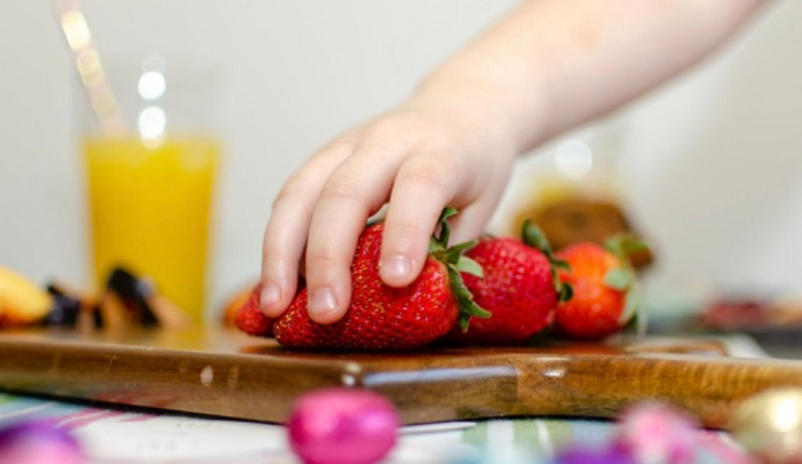 Wie man mit Essen das Gedächtnis von Kindern stärkt