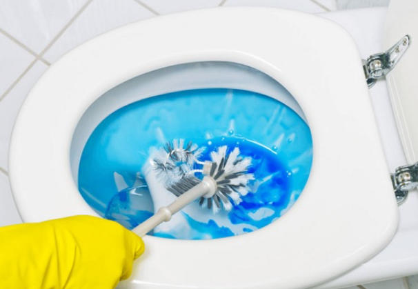 Toilet cleaning and disinfection types