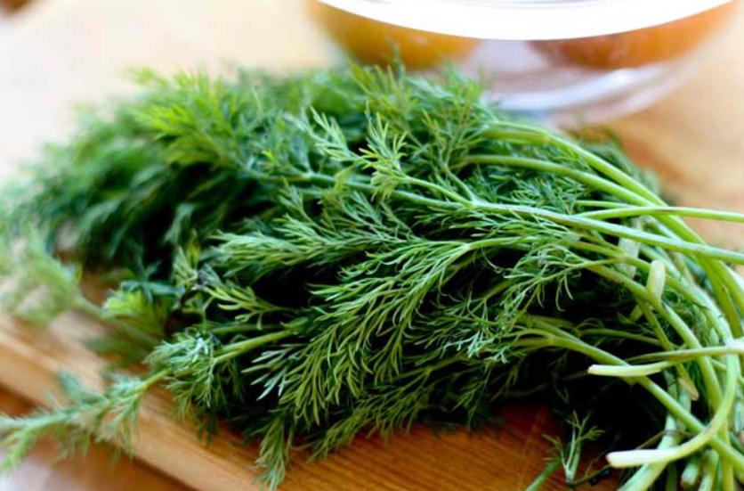 Dill has 14 properties you need to know