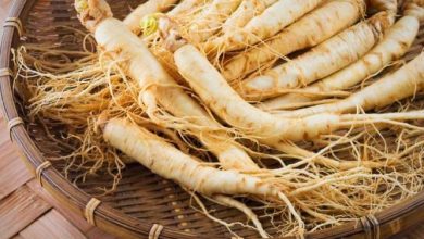 Why is ginseng so beneficial? How does it affect our bodies?