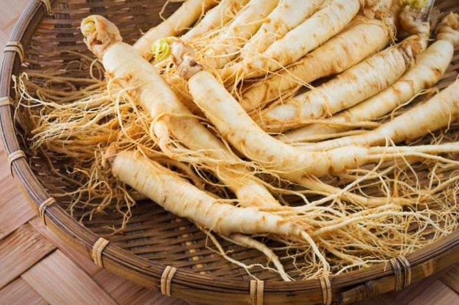 ginseng