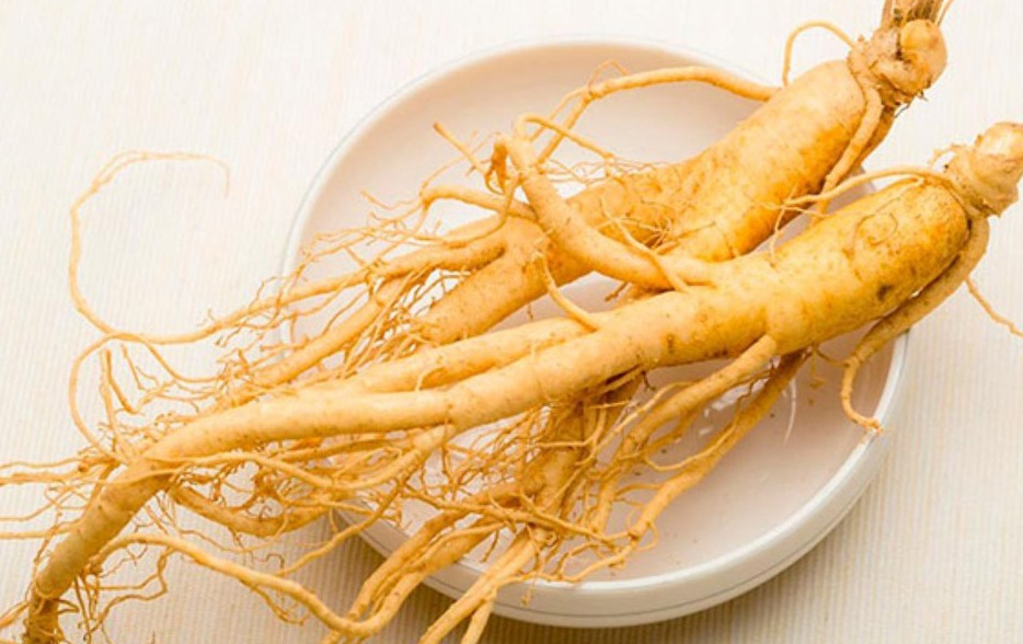 ginseng