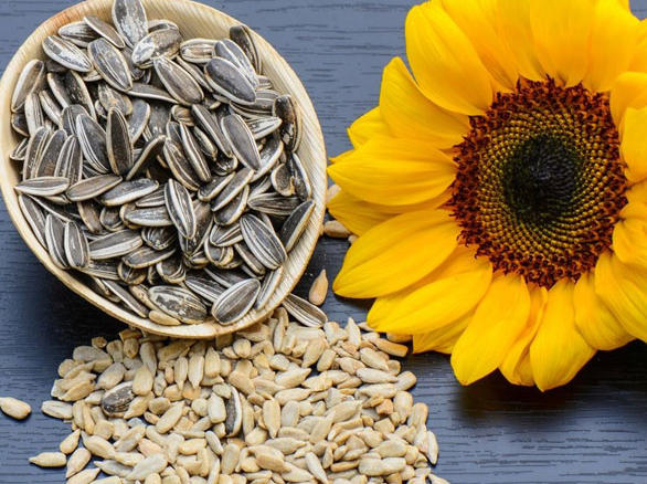 Sunflower seeds have what properties? Are there any disadvantages to it?