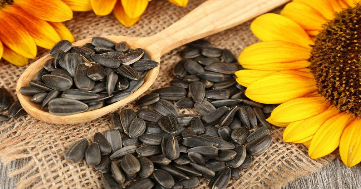 Sunflower seeds have what properties? Are there any disadvantages to it?