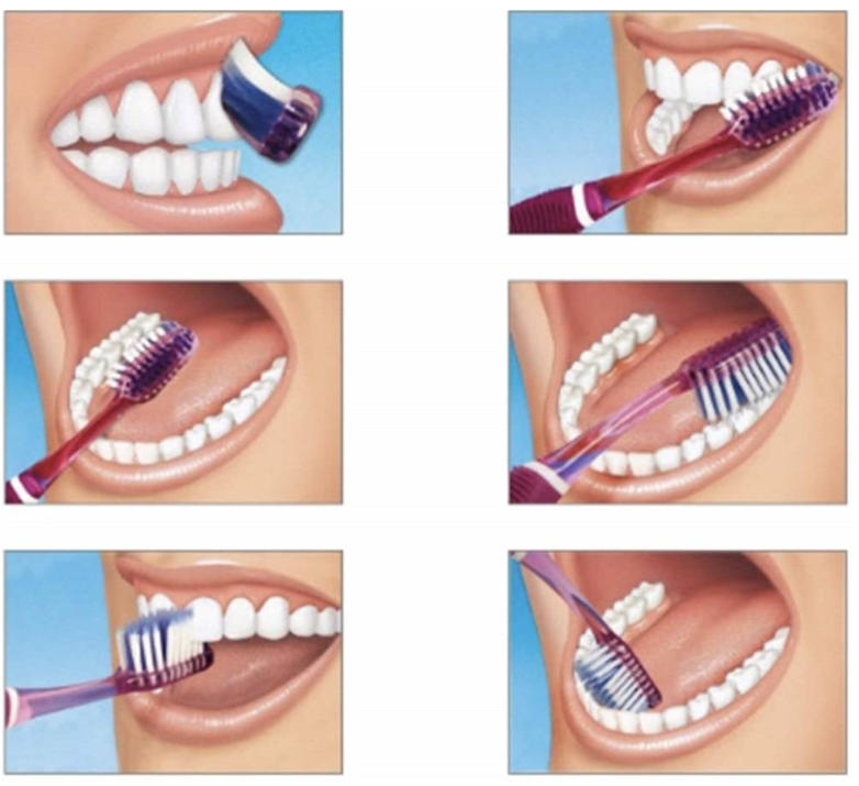 Wie putzt man sich am besten die Zähne?