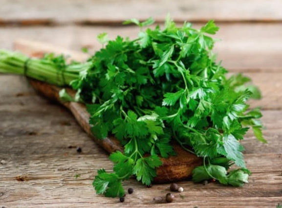 Planting and maintaining the "parsley" plant