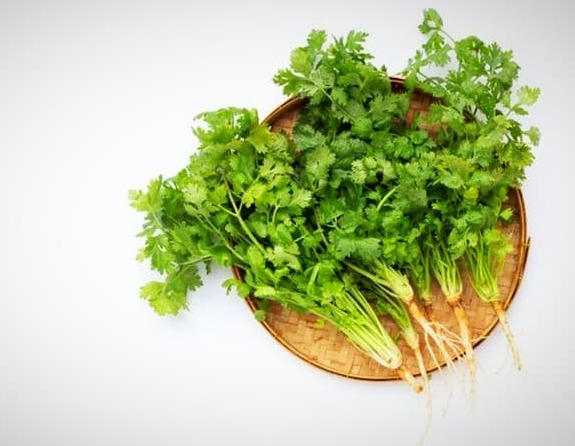Planting and maintaining the "parsley" plant