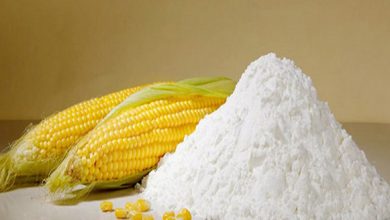 Las sorprendentes propiedades y usos del almidón de maíz