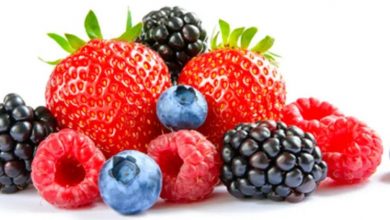 Learn about the properties and benefits of berries