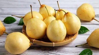 Pear properties and nutritional value