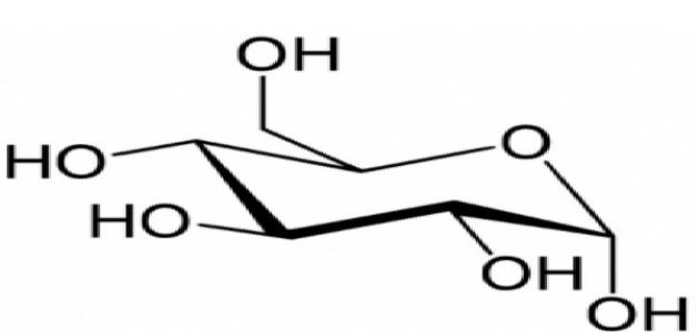 ¿Cómo funciona la glucosa? ¿Tienes algún conocimiento de ello