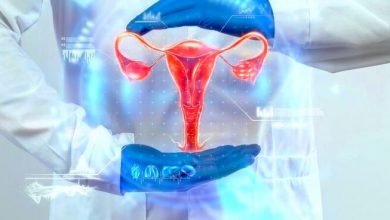 Die Arten des Zervixschleims und ihre Beziehung zur Fruchtbarkeit