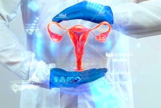 Les types de glaire cervicale et leur relation avec la fertilité