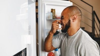 Remove the refrigerator bad odor with natural ingredients