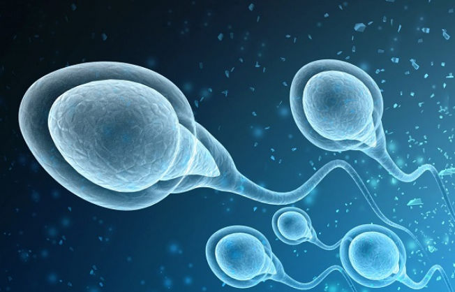 Cosa devi sapere sullo sperma