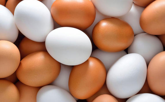 biotin in egg - What do you know about it?