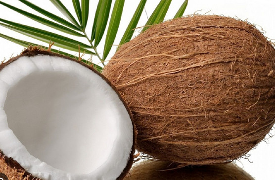 coconut oil for toothache - Is it effective?