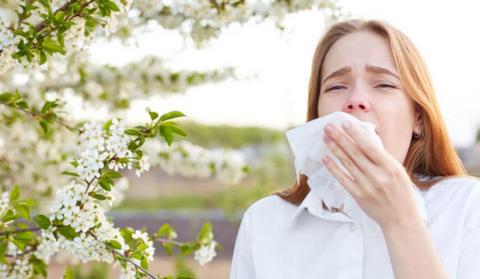 Symptoms and treatment of spring allergies + video