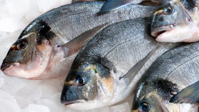 Best Practices for Identifying Fresh Fish at Markets