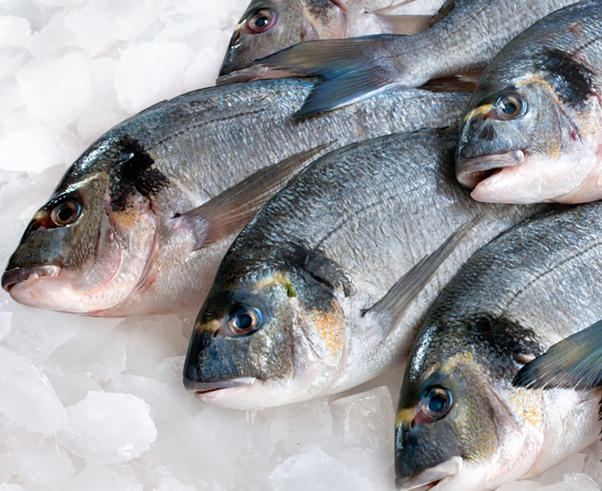 Best Practices for Identifying Fresh Fish at Market + video