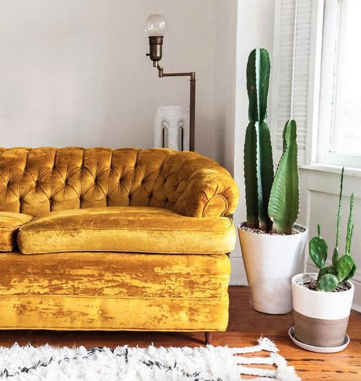 ¿Cómo se limpia un sofá de terciopelo sin aspiradora?