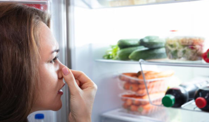 ¿Cómo eliminar el olor a carne podrida de la heladera?