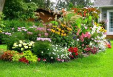 ¿Cuáles son los beneficios de la jardinería?