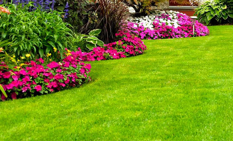 ¿Cómo hacer un jardín bonito y fácil?