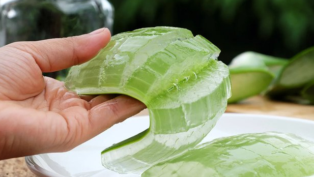 What are the healing properties of aloe vera? + Video
