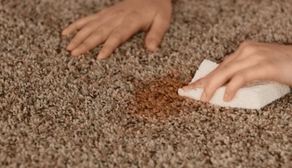 How to get brown stains out of carpet3