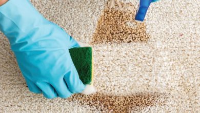 How to get brown stains out of carpet1