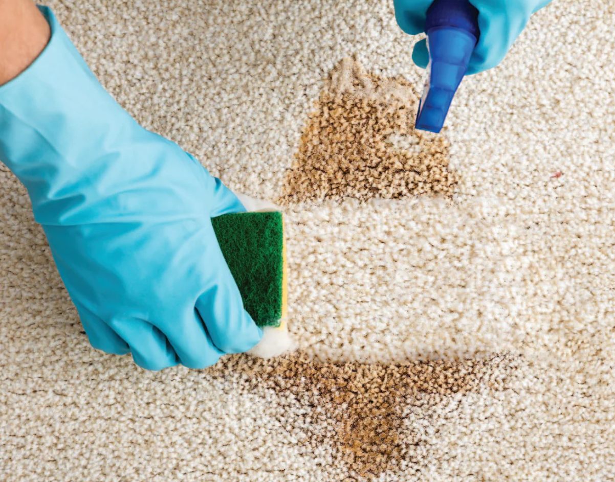 How to get brown stains out of carpet1